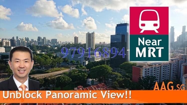 Spottiswoode Suites (D2), Apartment #173782232